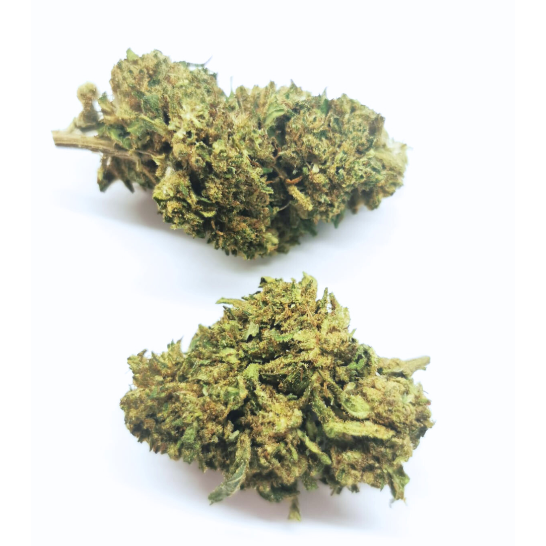 ⚠️ Amnesia NL-1 | Fleur NL-1 à partir de 4€ le gr