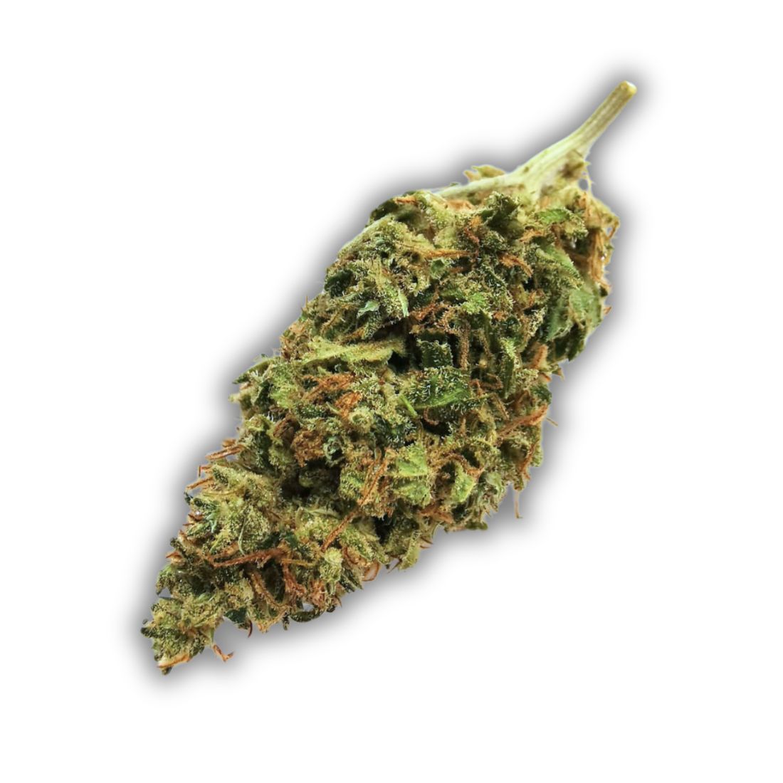 HONEY KUSH | Fleur CBD à 2€/gr| 10gr