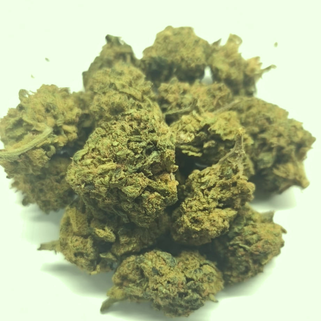 ⚠️ Bubble gum X | Fleur puissante dès 4€/gr
