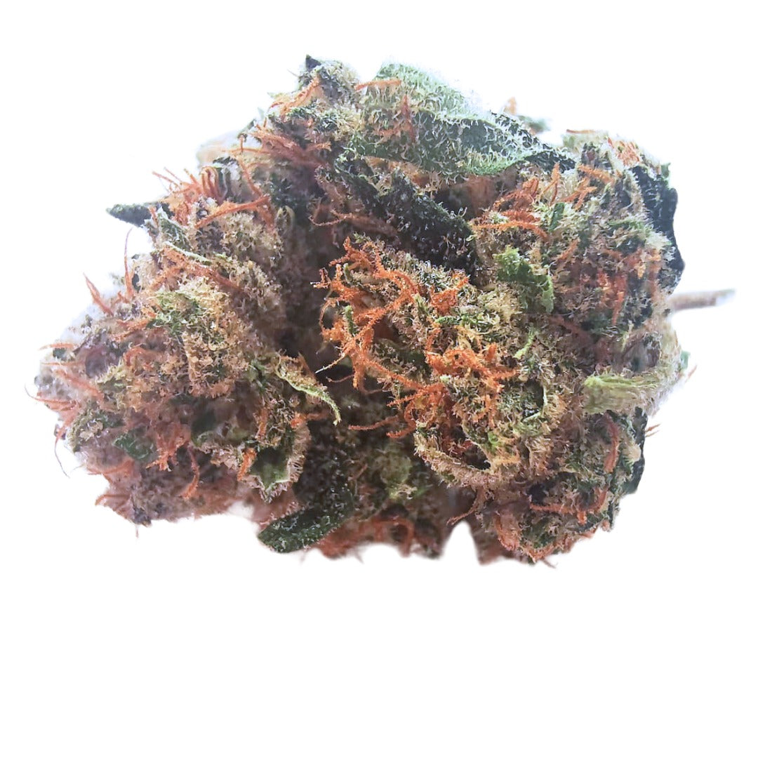 SNOW WHITE | Fleur CBD premium dès 4.5€/gr