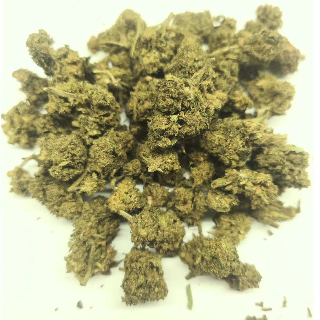 ⚠️ WHITE DAWG X | Fleur puissante dès 4€/gr