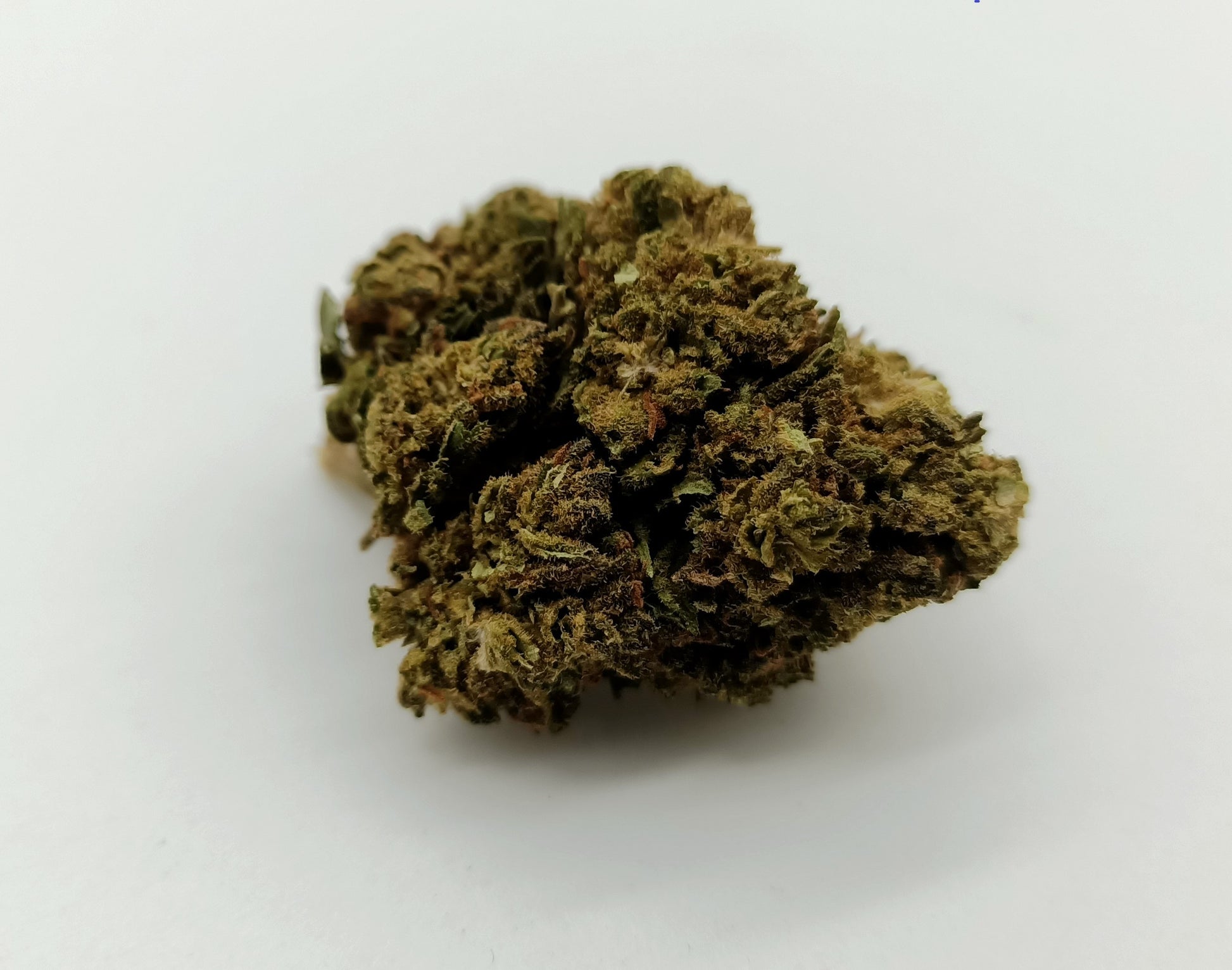 AMNESIA | Fleur CBD dès 2€/gr