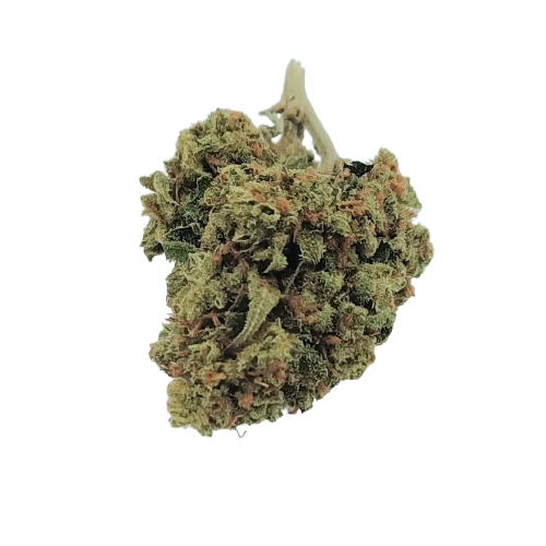 JACK HERER | Fleur CBD dès 2€/gr