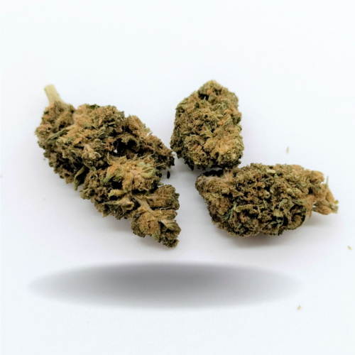 REMEDY | Fleur CBD dès 1€/gr
