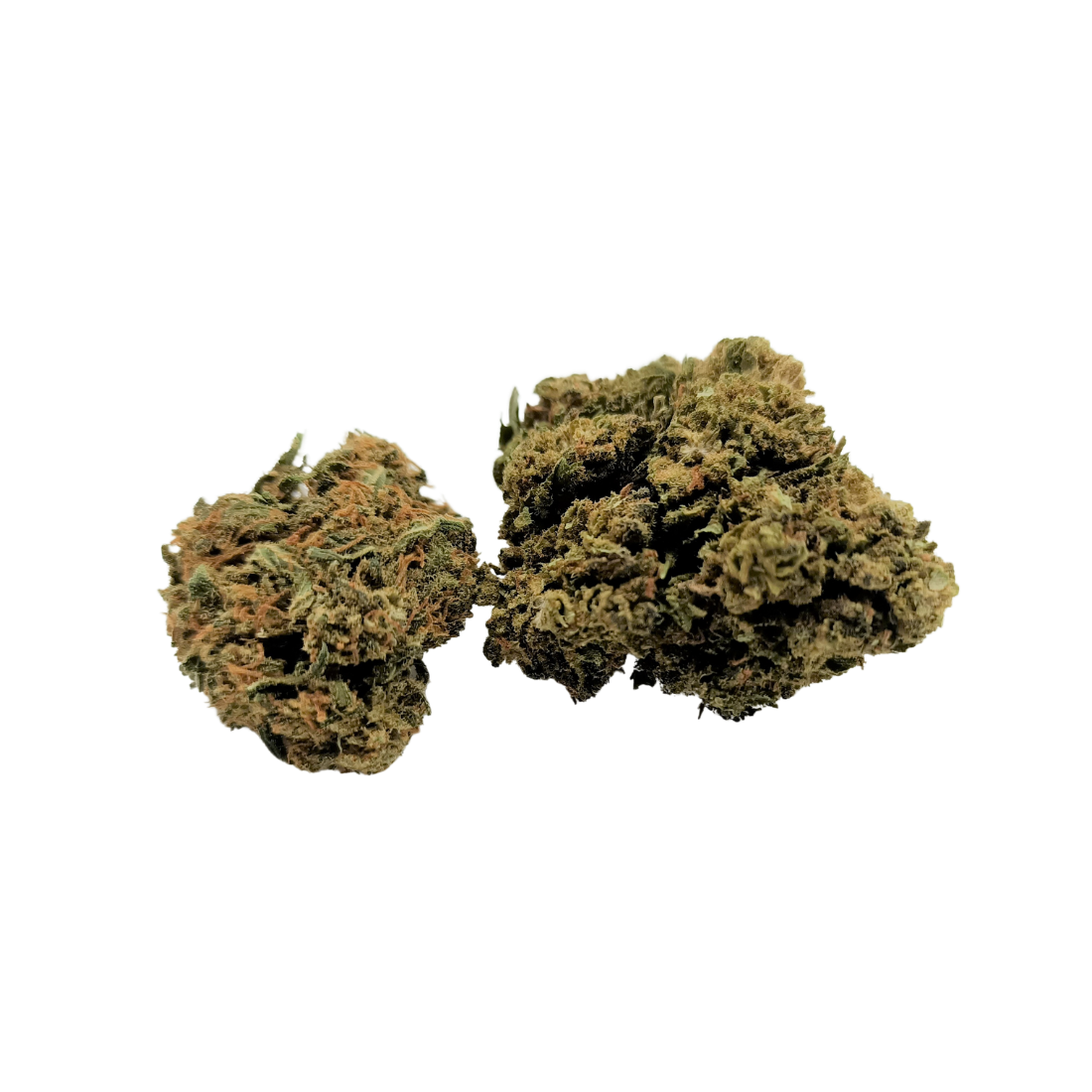 AMNESIA | Fleur CBD dès 2€/gr