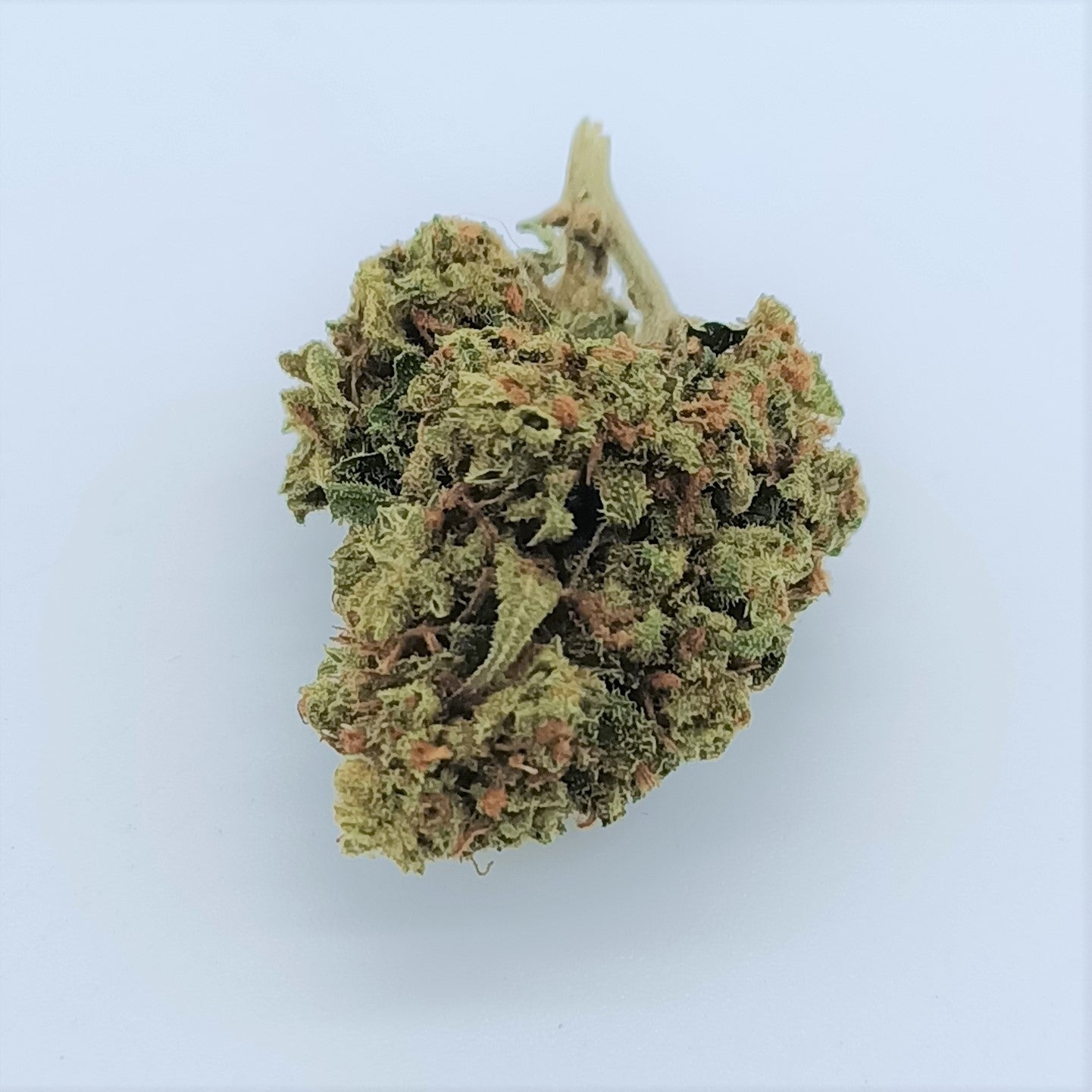 JACK HERER | Fleur CBD dès 2€/gr